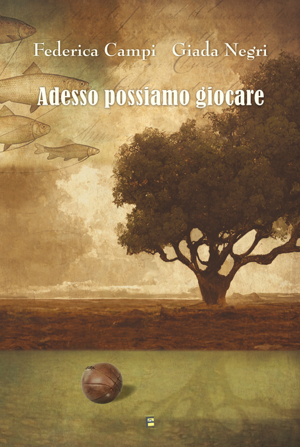 Adesso possiamo giocare. Ediz. illustrata