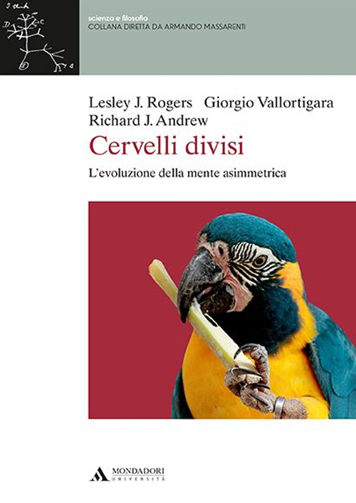 Cervelli divisi. L'evoluzione della mente asimmetrica