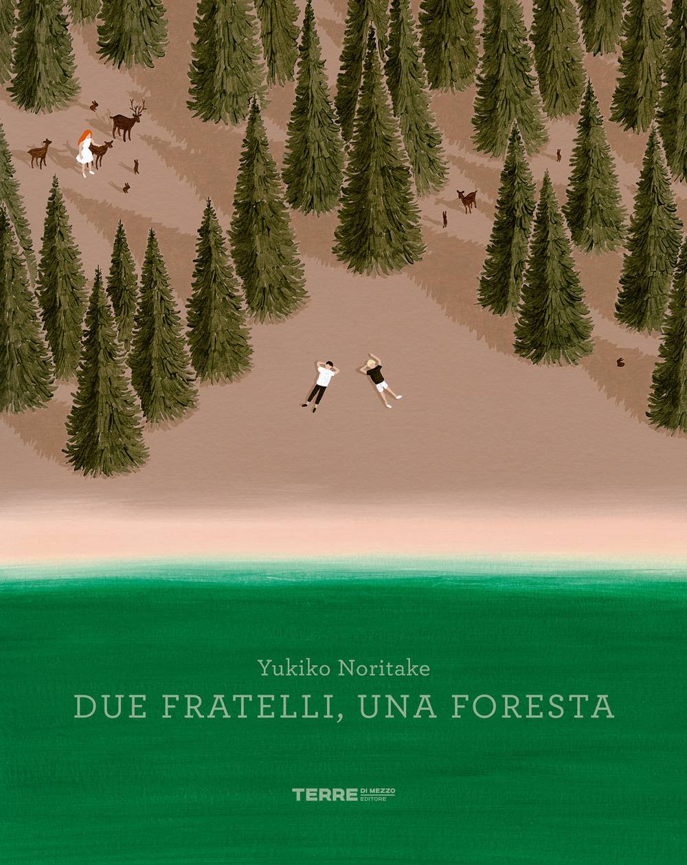 Due fratelli, una foresta. Ediz. a colori