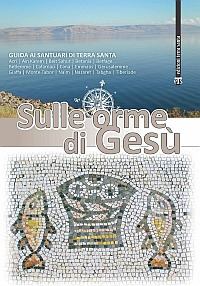 Sulle orme di Gesù. Guida ai santuari di Terra Santa. Ediz. ampliata