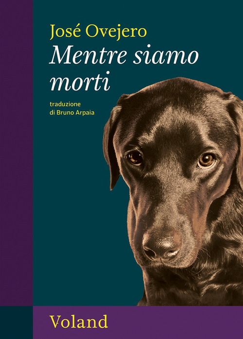 Mentre siamo morti