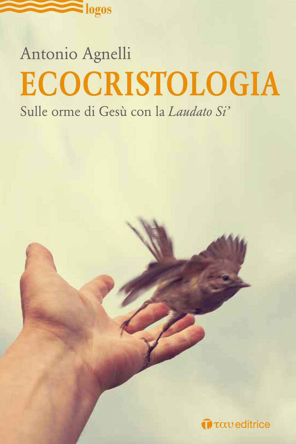 Ecocristologia. Sulle orme di Gesù con la Laudato si'