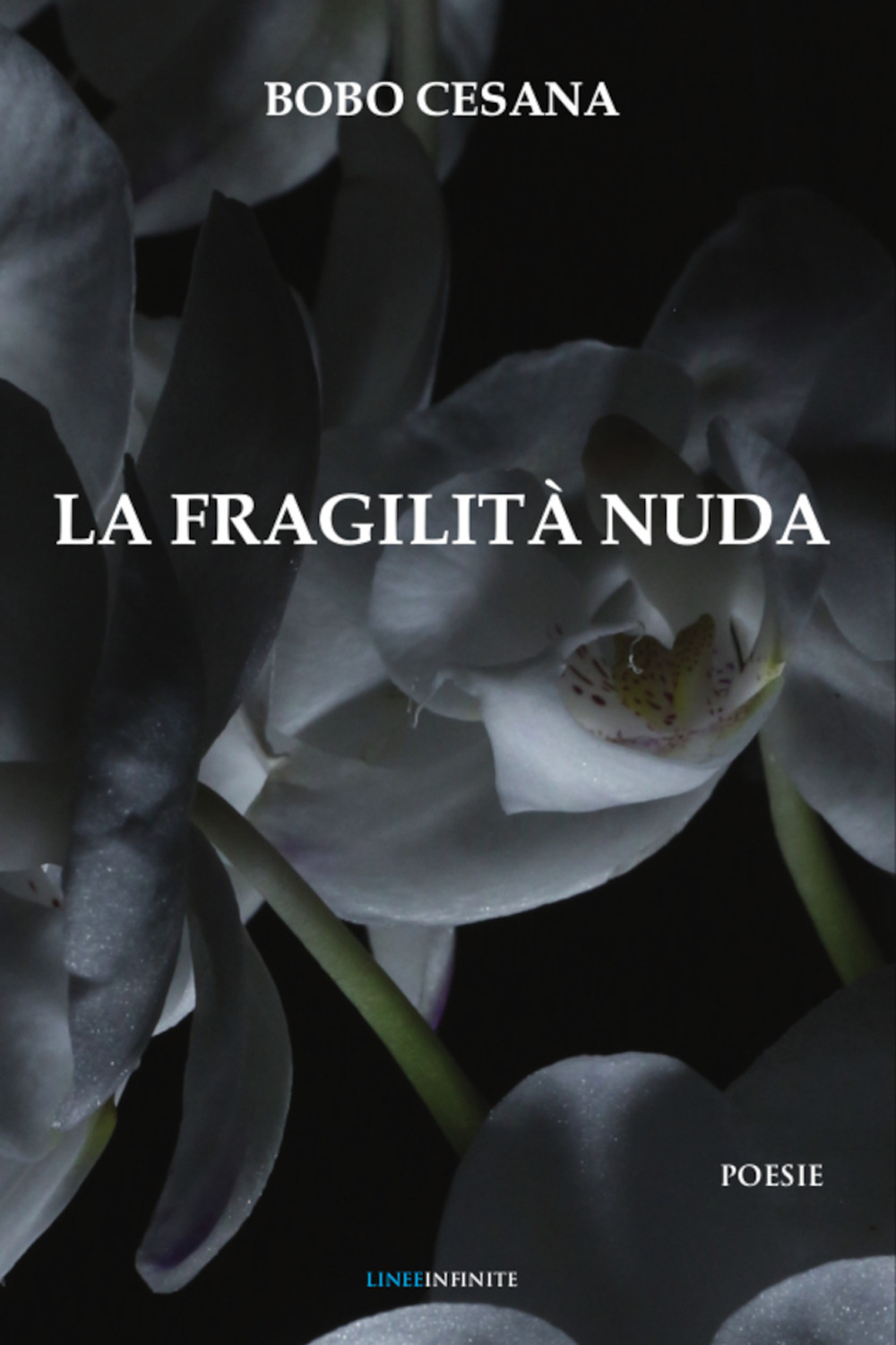 La fragilità nuda