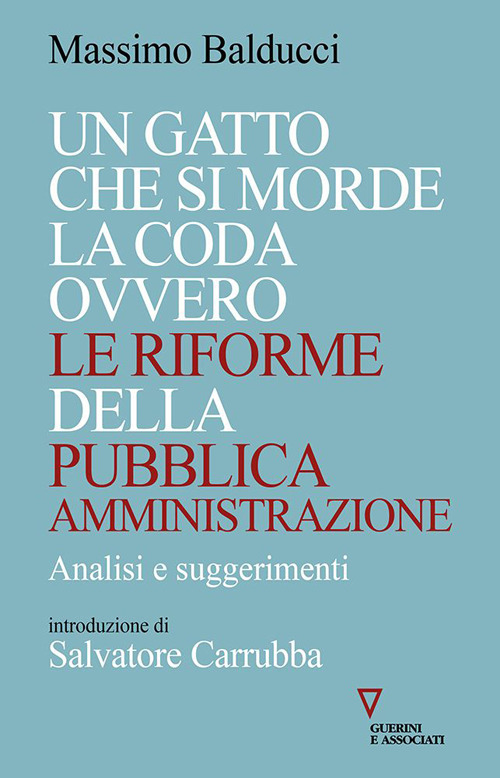 Un gatto che si morde la coda ovvero le riforme della pubblica amministrazione. Analisi e suggerimenti