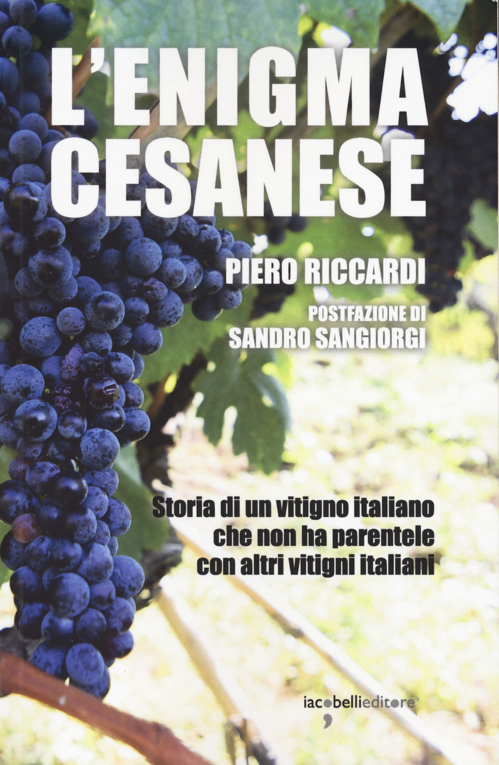 L'enigma cesanese. Storia di un vitigno italiano che non ha parentele con altri vitigni italiani