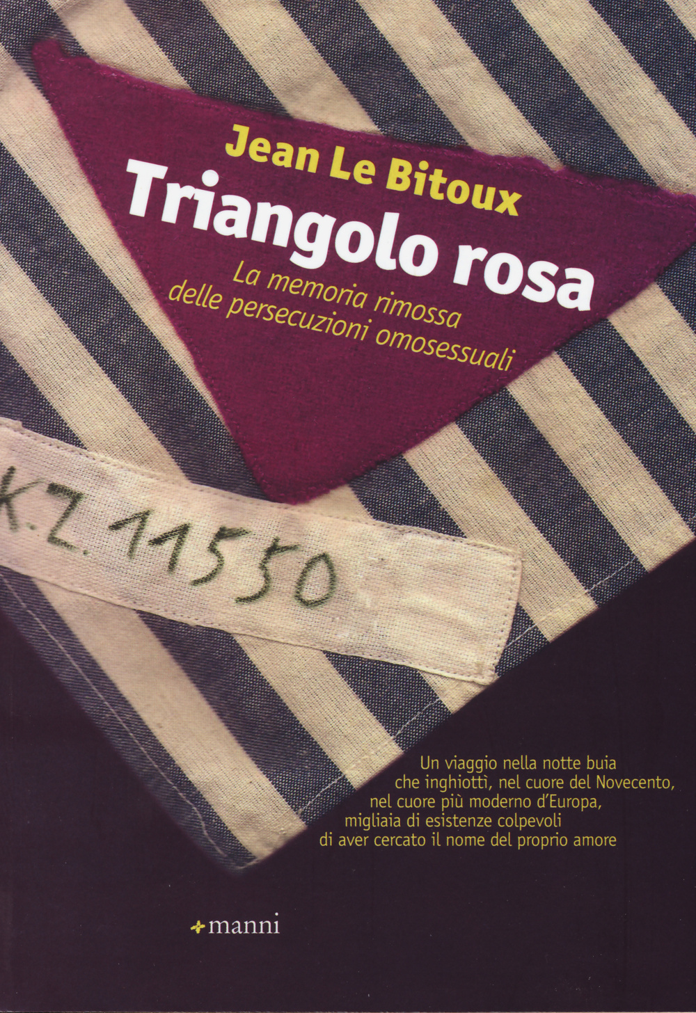 Il triangolo rosa. La memoria rimossa delle persecuzioni omosessuali