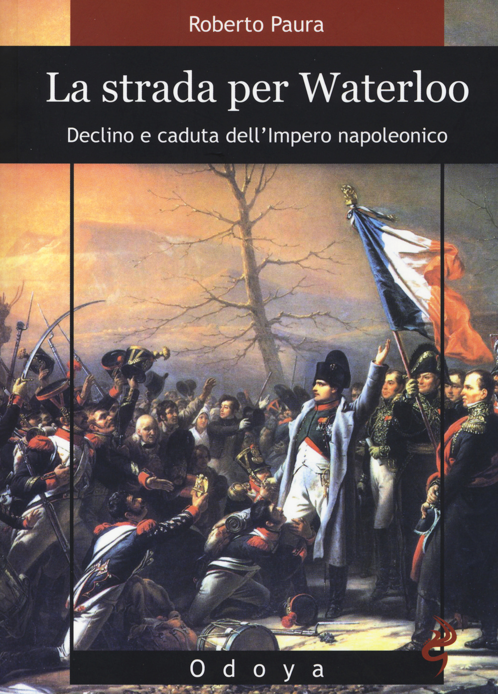 La strada per Waterloo. Declino e caduta dell'Impero napoleonico