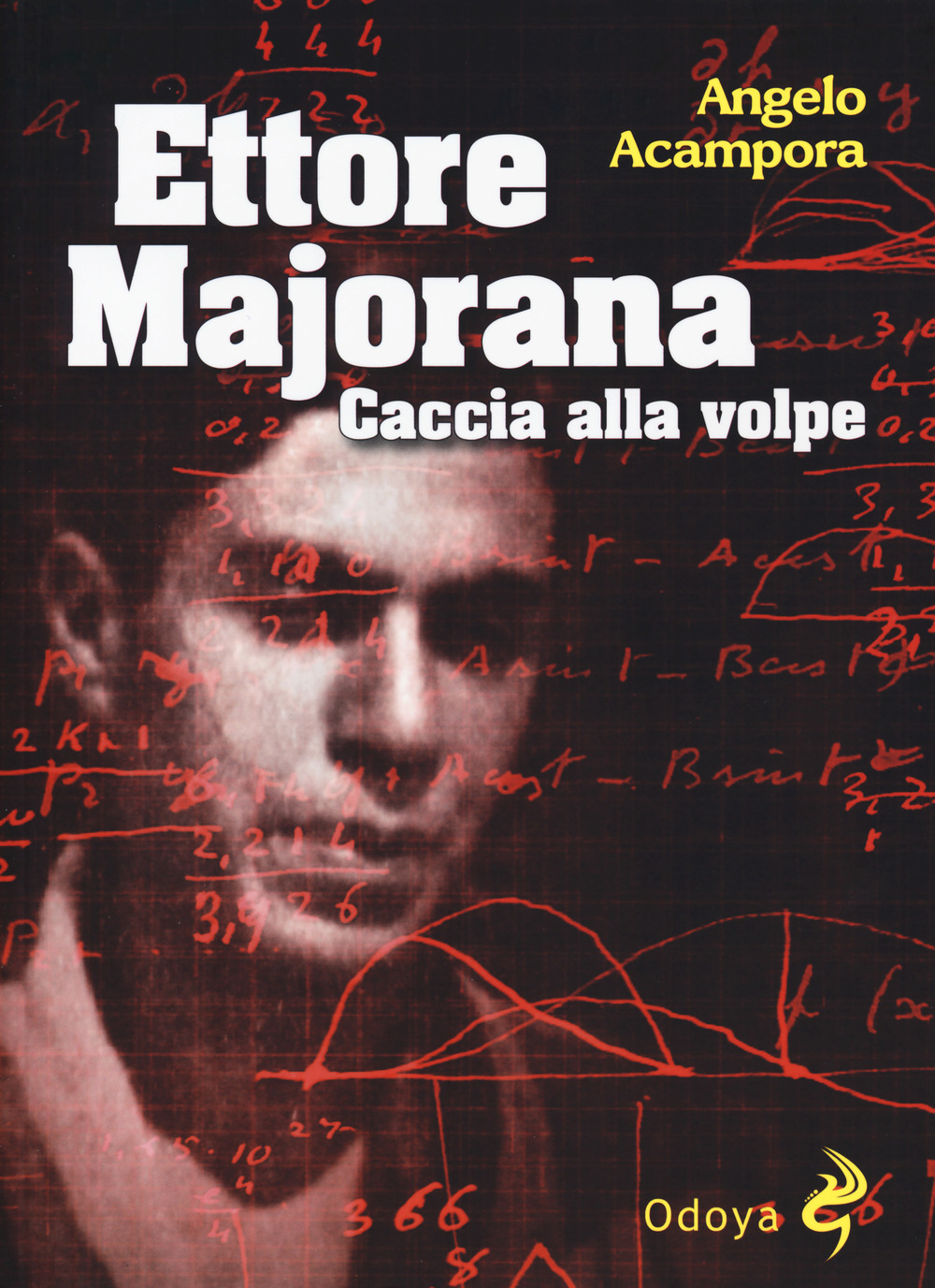 Ettore Majorana. Caccia alla volpe