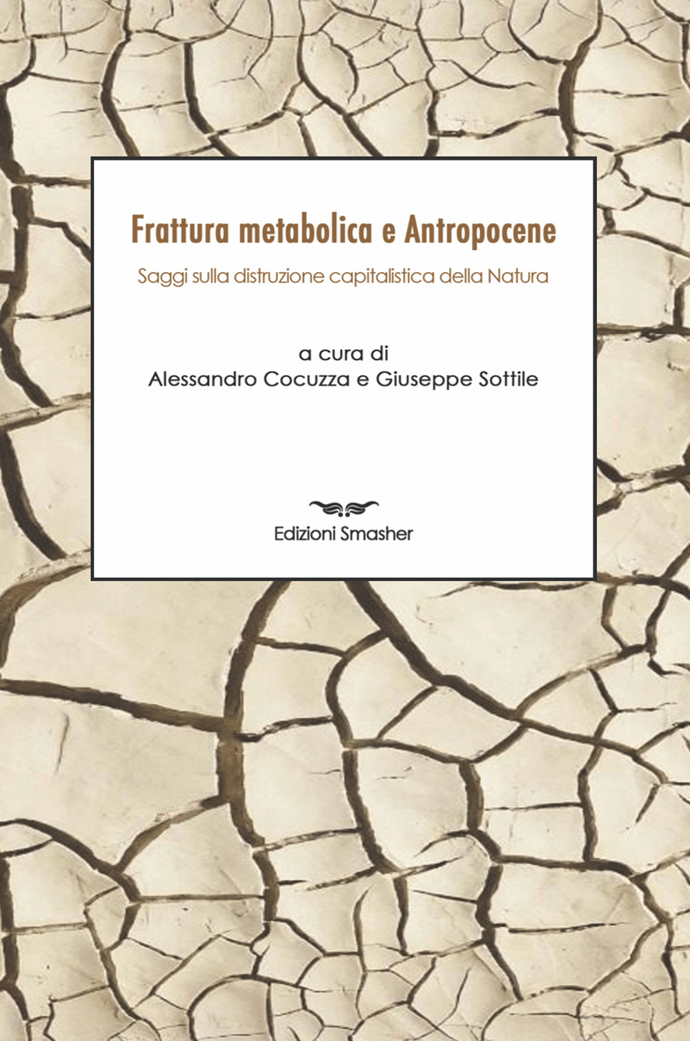 Frattura metabolica e antropocene. Saggi sulla distruzione capitalistica della natura