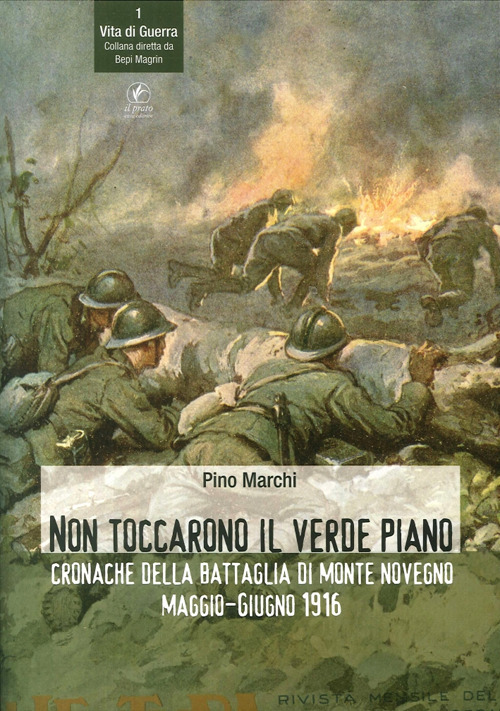 Non toccarono il verde piano. Cronache della battaglia di Monte Novegno maggio-giugno 1916
