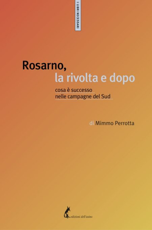 Rosarno, la rivolta e dopo. Cosa è successo nelle campagne del Sud