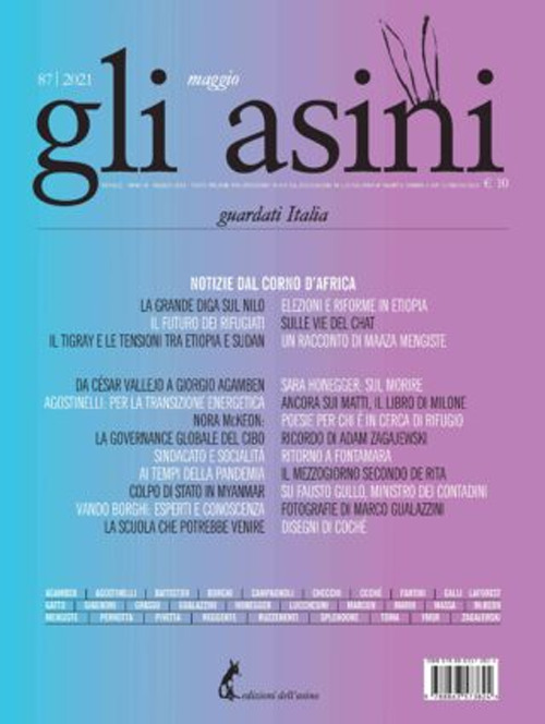 Gli asini. Rivista di educazione e intervento sociale (2021). Vol. 87