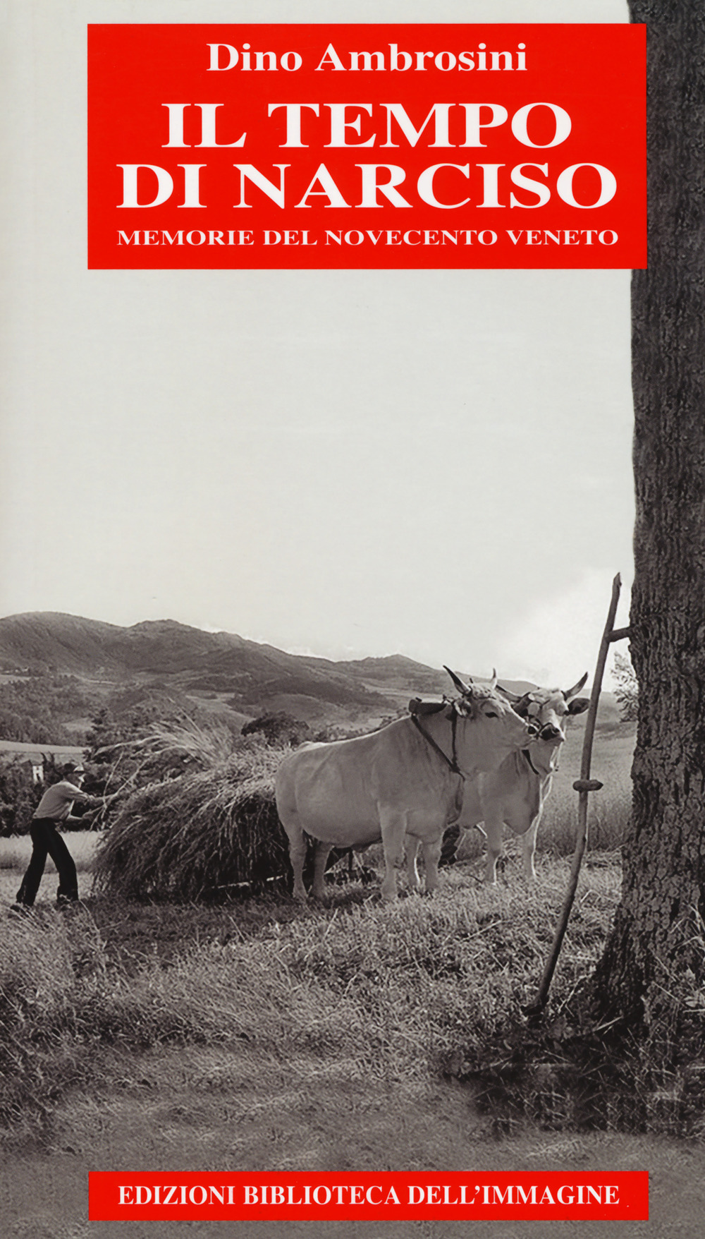 Il tempo di Narciso. Memorie del Novecento veneto