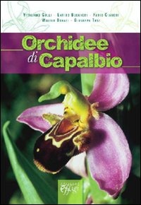 Orchidee di Capalbio