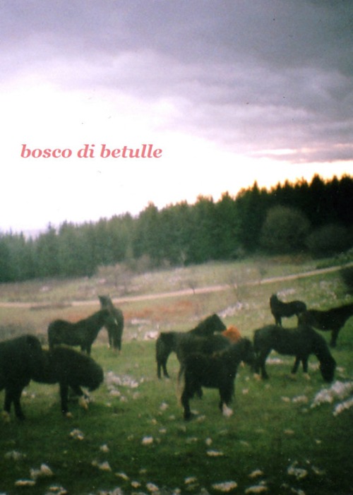 Bosco di betulle. Ediz. italiana e inglese