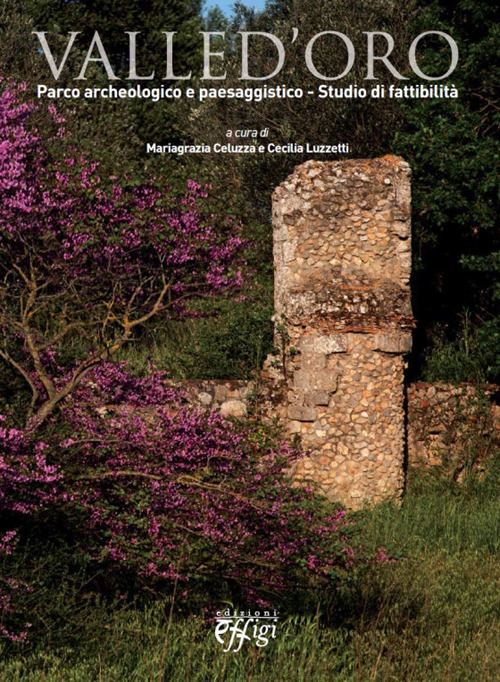 Valle d'Oro. Parco archeologico e paesaggistico. Studio di fattibilità