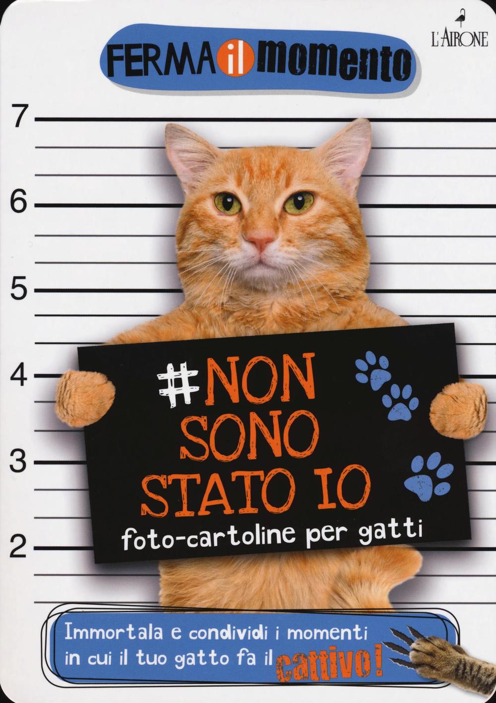 Non sono stato io. Foto-cartoline per gatti