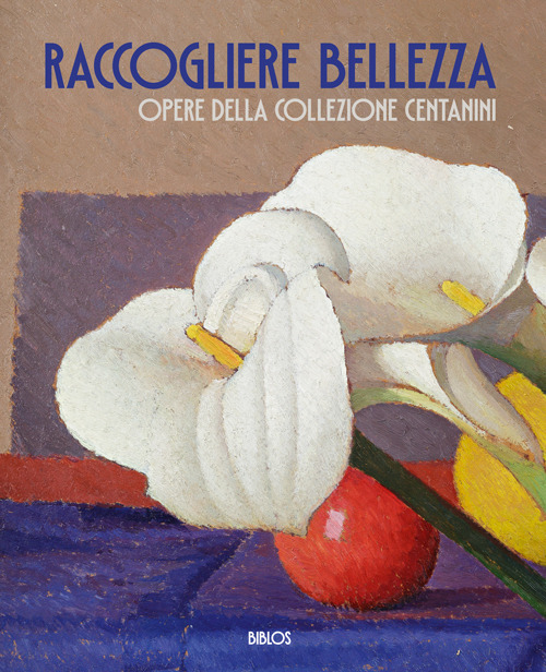 Raccogliere bellezza. Opere della collezione Centanini. Ediz. illustrata