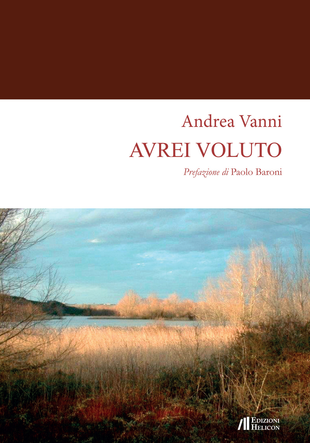 Avrei voluto