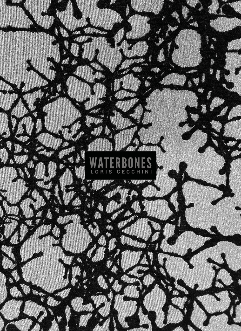 Waterbones. Loris Cecchini. Ediz. italiana e inglese