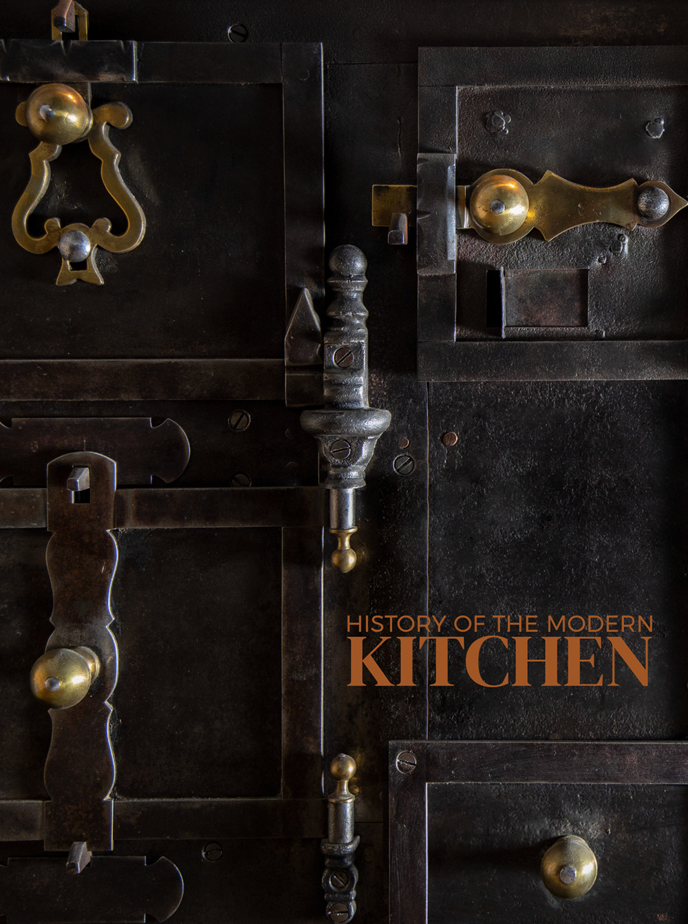 History of the modern kitchen. Ediz. bilingue