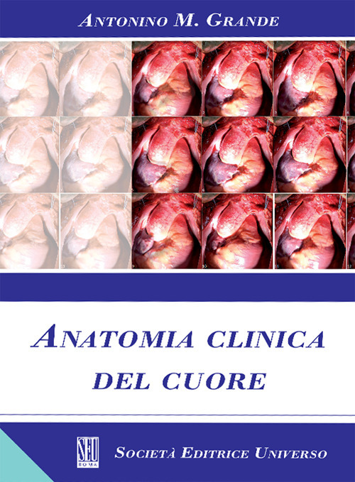 Anatomia clinica del cuore