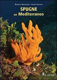 Spugne del Mediterraneo. Ediz. illustrata