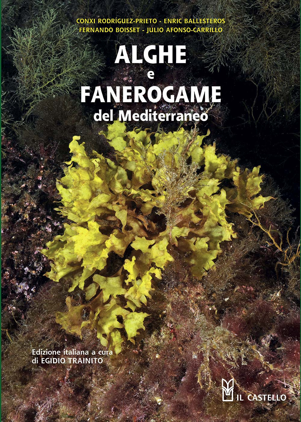 Alghe e fanerogame del Mediterraneo. Ediz. illustrata