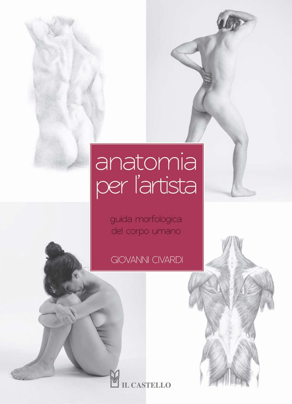 Anatomia per l'artista