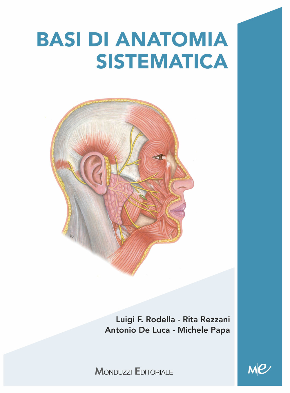 Basi di anatomia sistematica