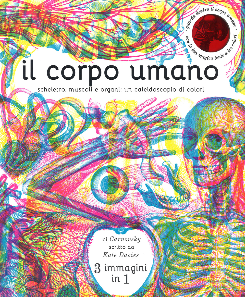 Il corpo umano. Scheletro, muscoli e organi: un caleidoscopio di colori. Ediz. a colori