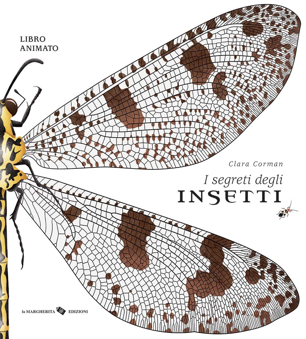I segreti degli insetti. Ediz. a colori