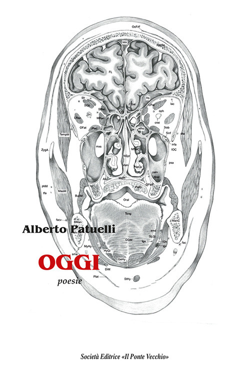 Oggi