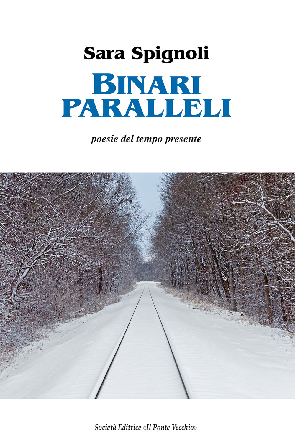 Binari paralleli
