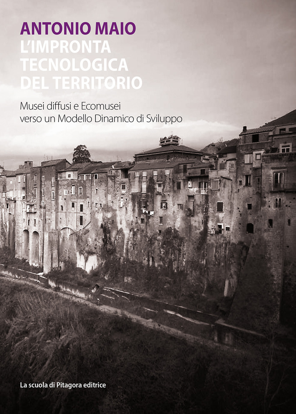 L'impronta tecnologica del territorio. Musei diffusi ed ecomusei verso un modello dinamico di sviluppo