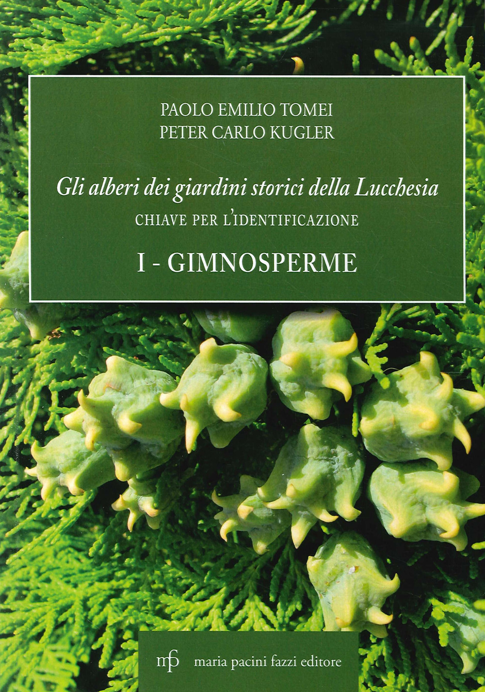 Gli alberi dei giardini storici della Lucchesia Chiave per l'identificazione. Vol. 1: Gimnosperme
