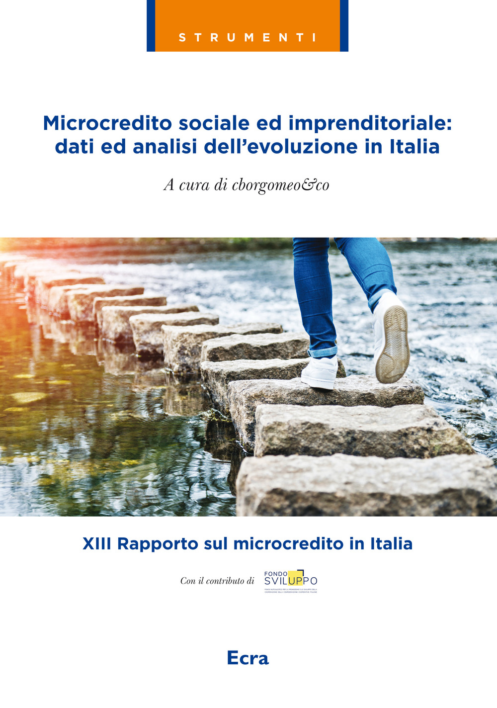 Microcredito sociale ed imprenditoriale: dati analisi dell'evoluzione in Italia