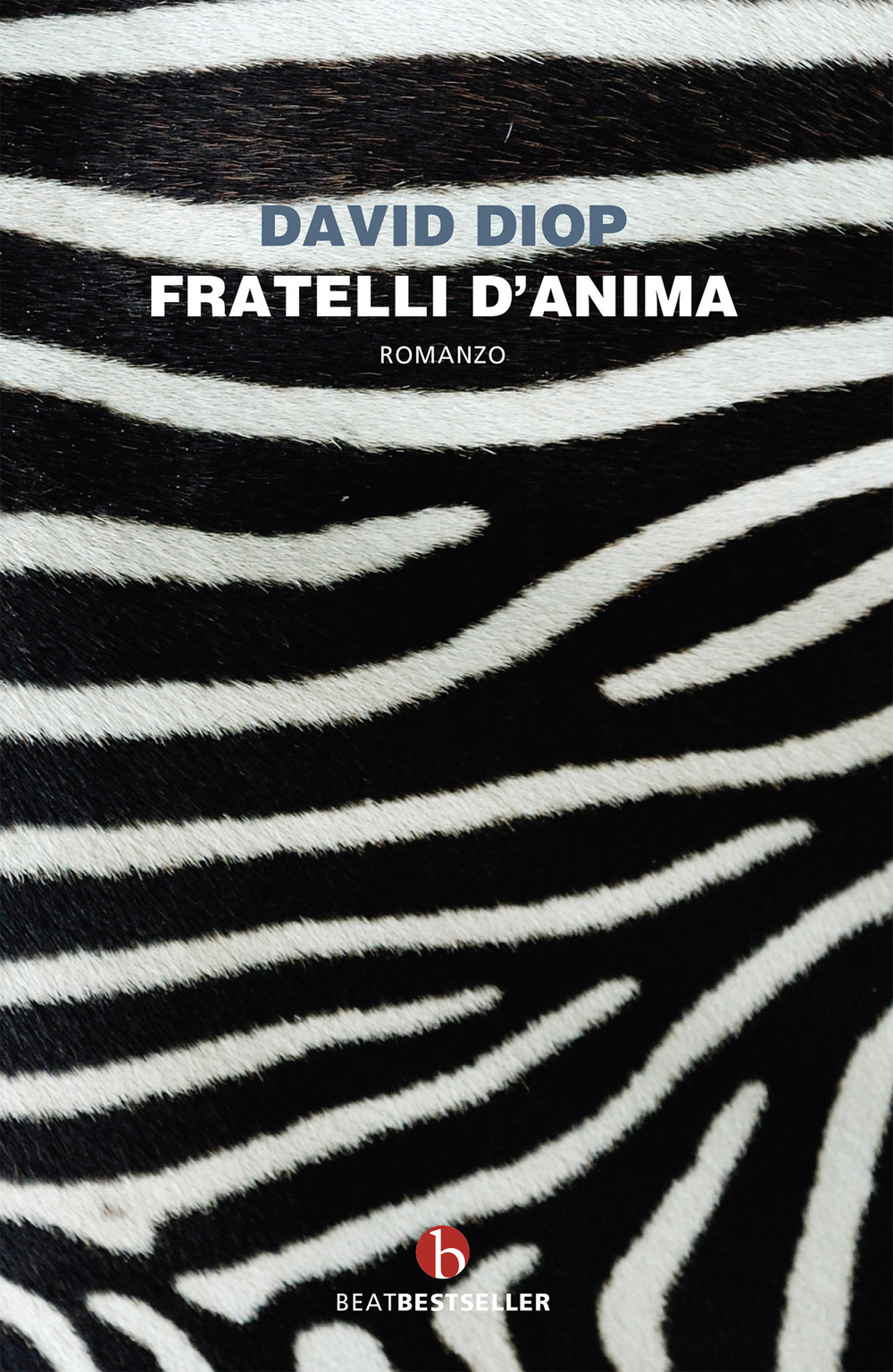 Fratelli d'anima