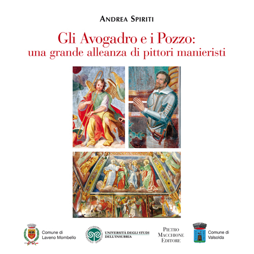 Gli Avogadro e i Pozzo. Una grande alleanza di pittori manieristi. Con DVD