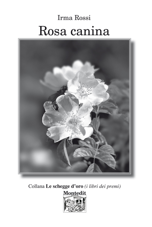 Rosa canina