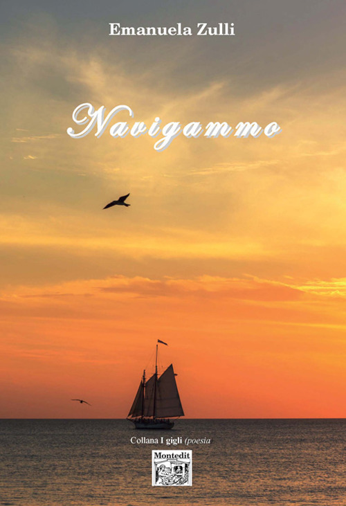 Navigammo