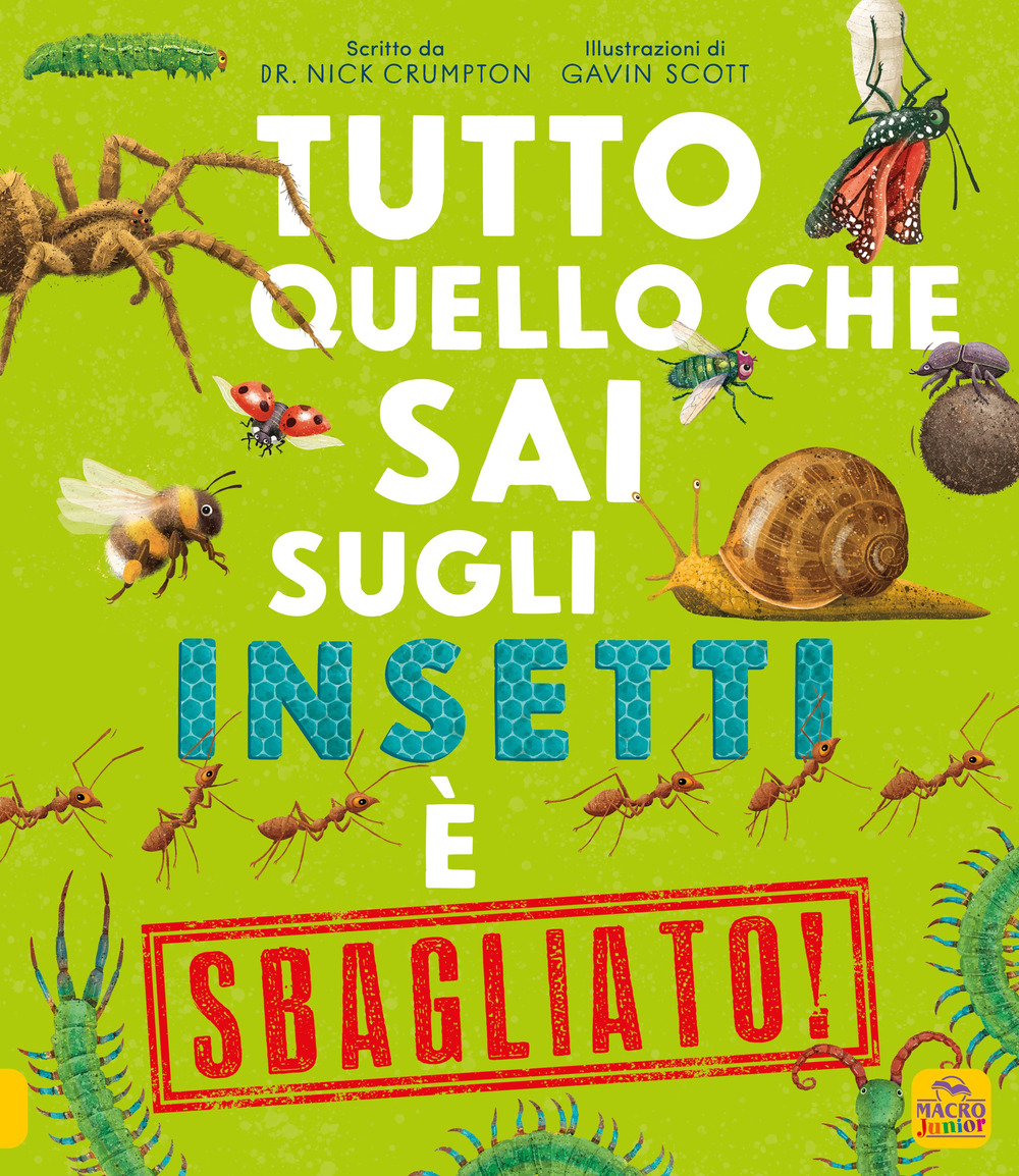 Tutto quello che sai sugli insetti è sbagliato!