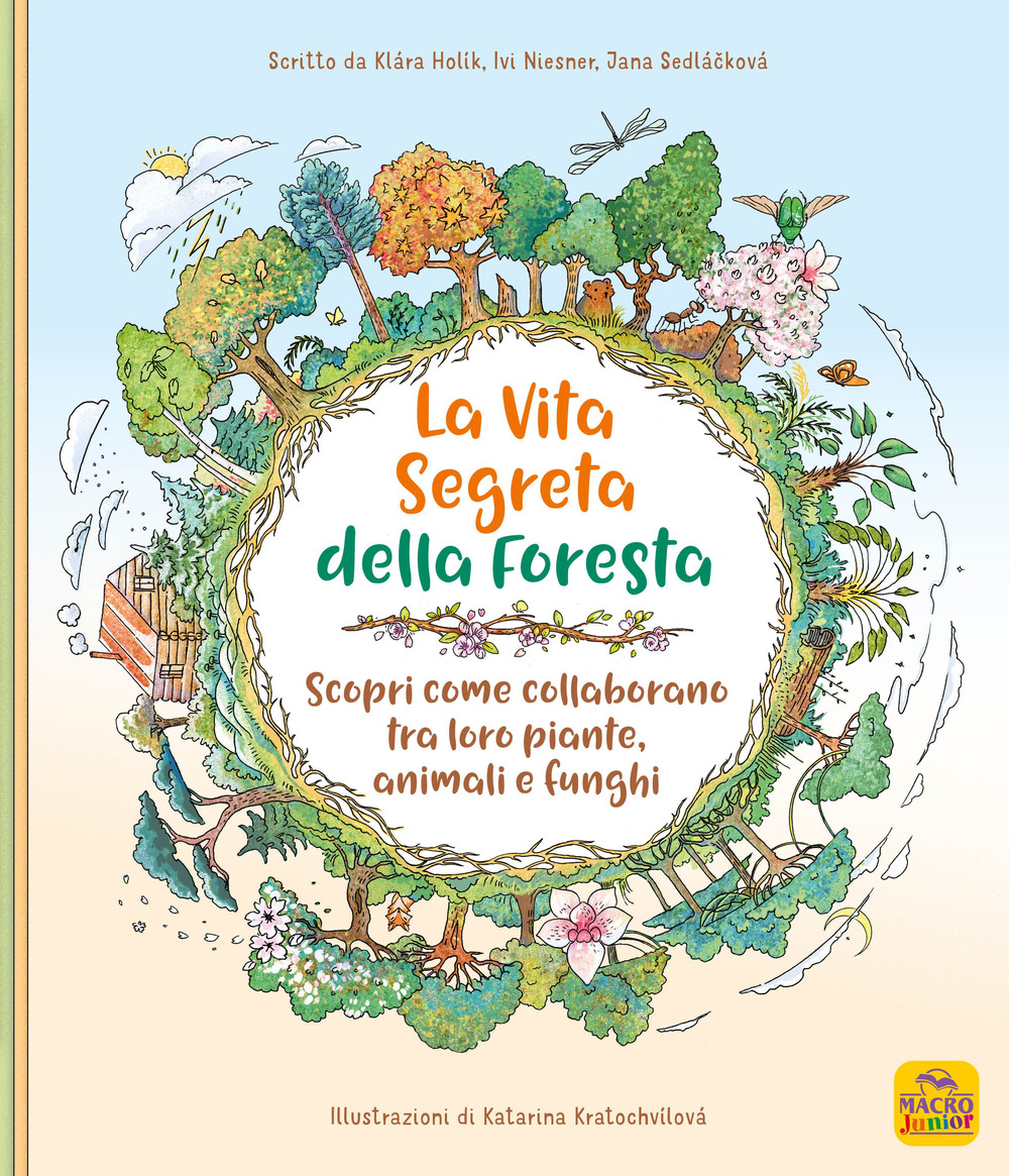 La vita segreta della foresta. Scopri come collaborano tra loro piante, animali e funghi. Ediz. illustrata