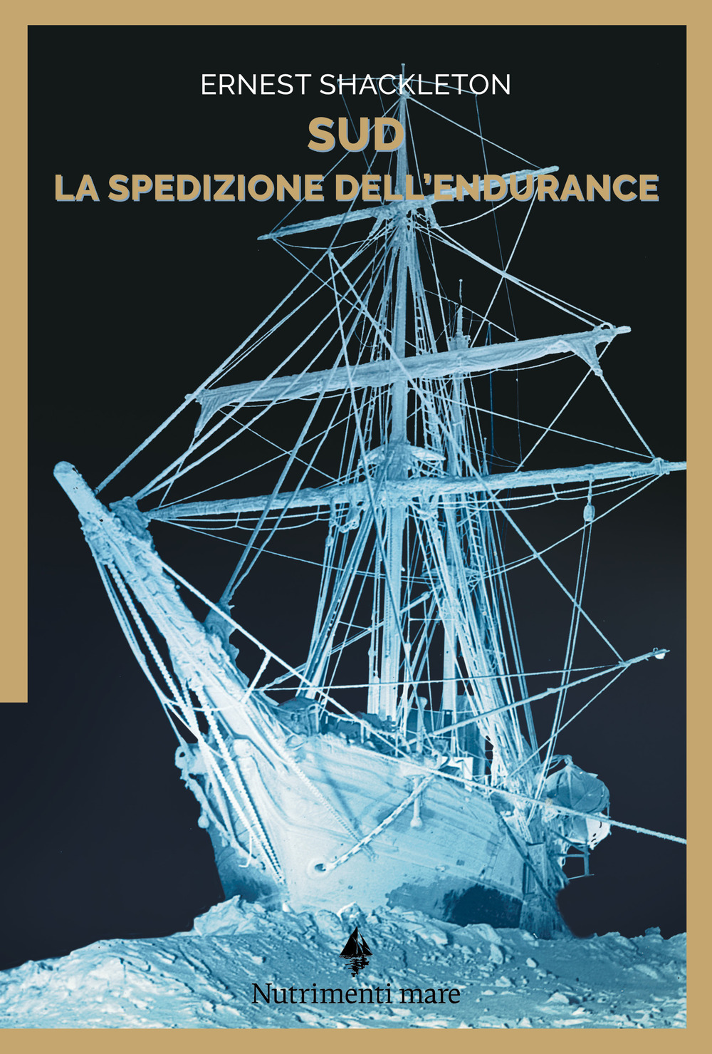 Sud. La spedizione dell'Endurance