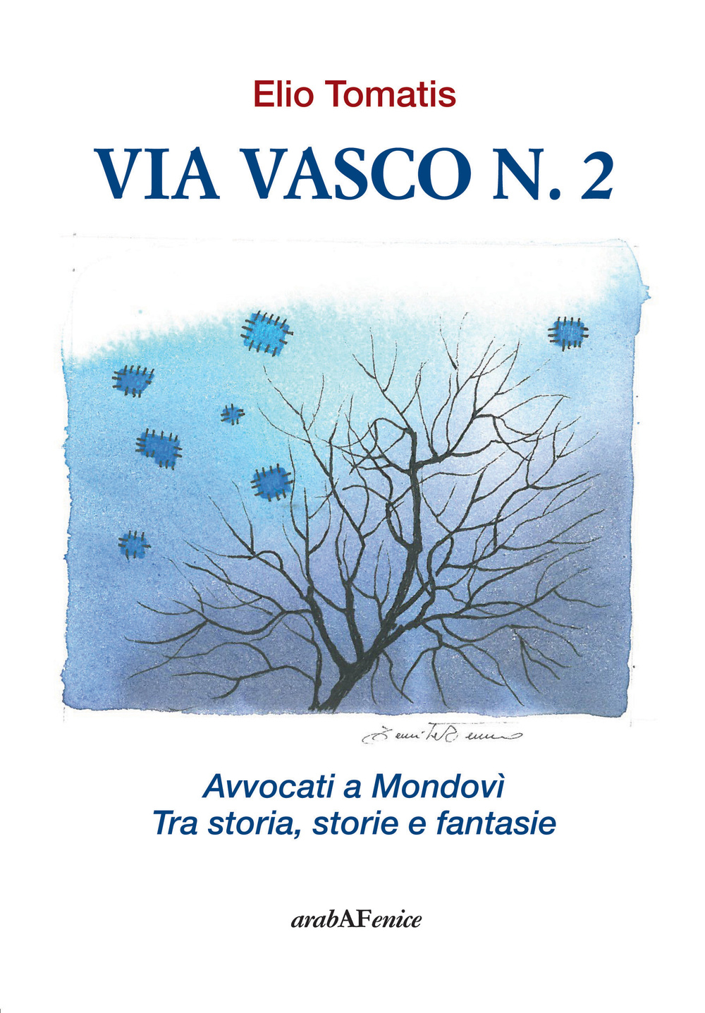 Via Viasco n.2. Avvocati a Mondovì. Tra storia, storie e fantasie