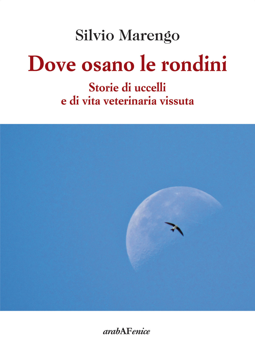 Dove osano le rondini. Storie di uccelli e di vita veterinaria vissuta