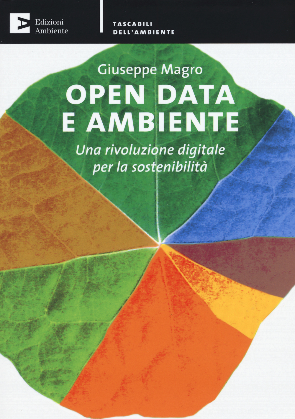 Open data e ambiente. Una rivoluzione digitale per la sostenibilità