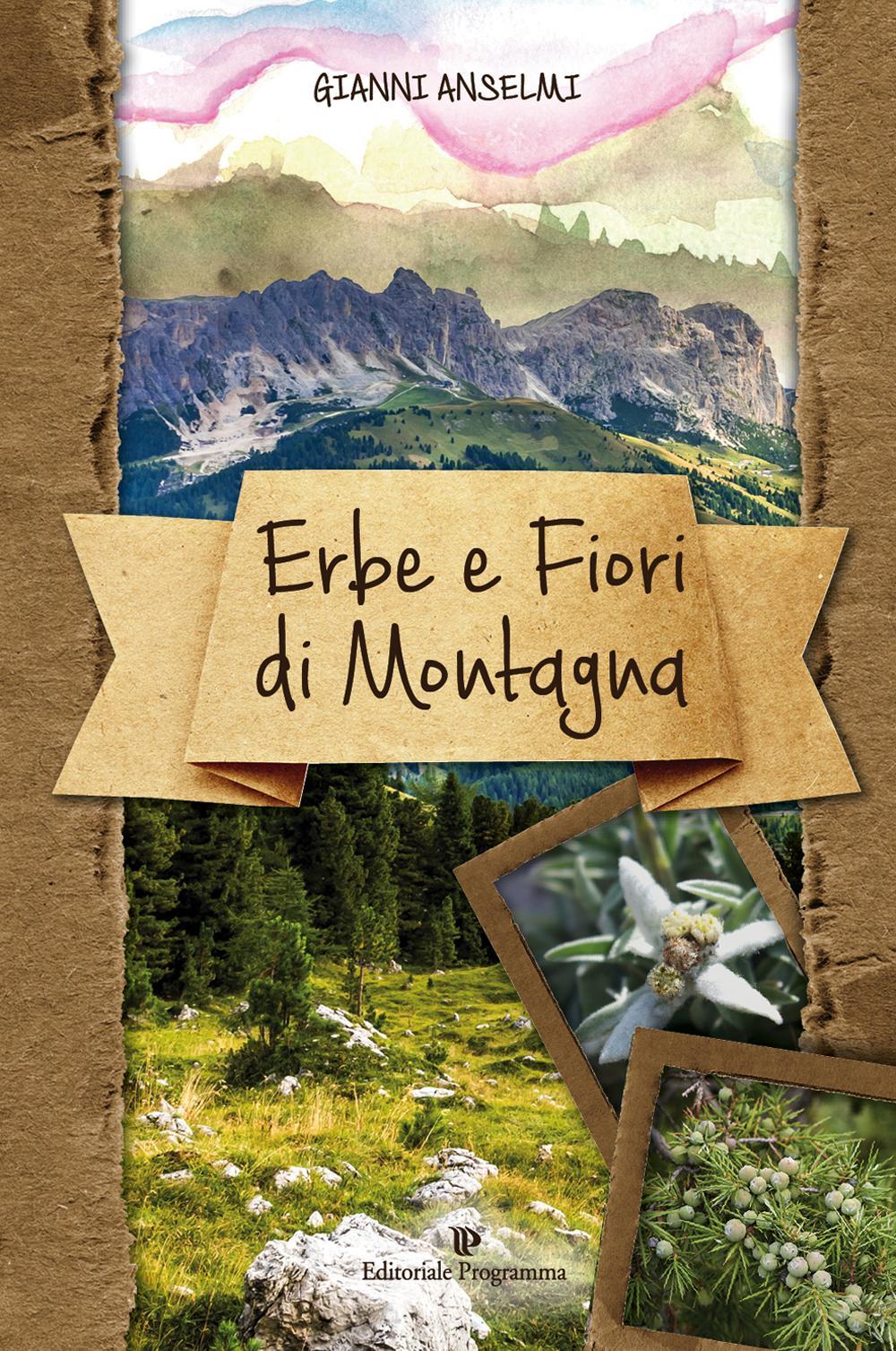 Erbe e fiori di montagna. Ediz. illustrata