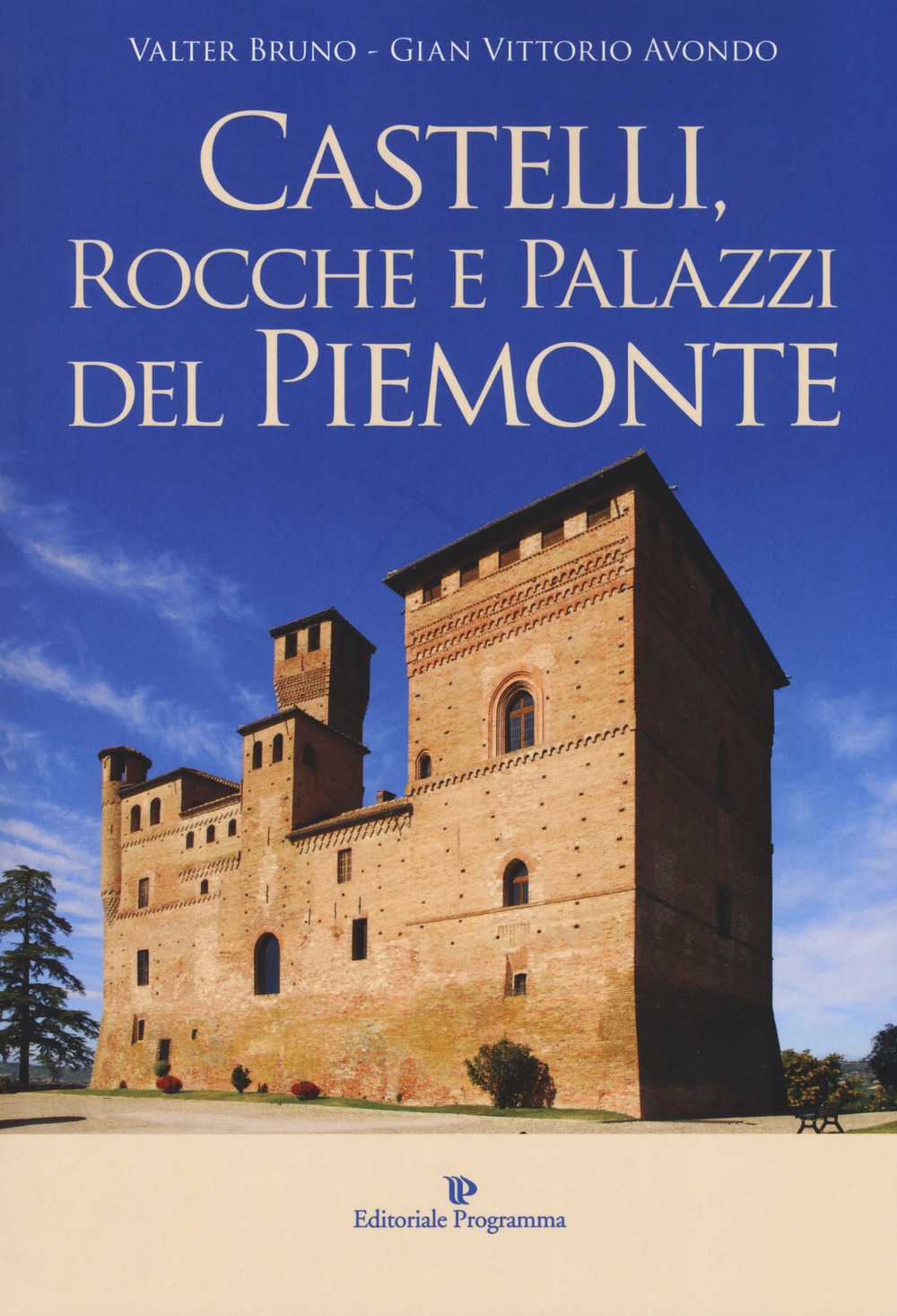 Castelli, rocche e palazzi del Piemonte. Ediz. illustrata