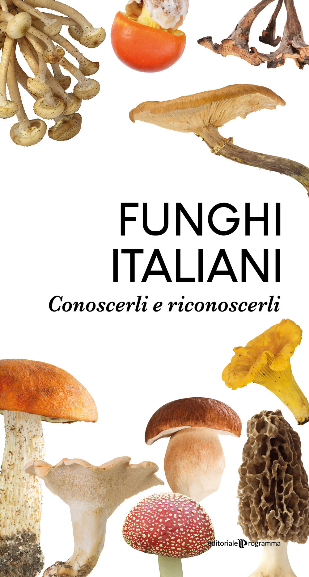 Funghi italiani. Conoscerli e riconoscerli